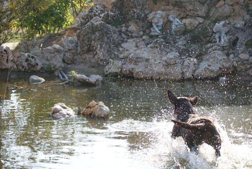 Los Jardines De Lola Daimés エクステリア 写真