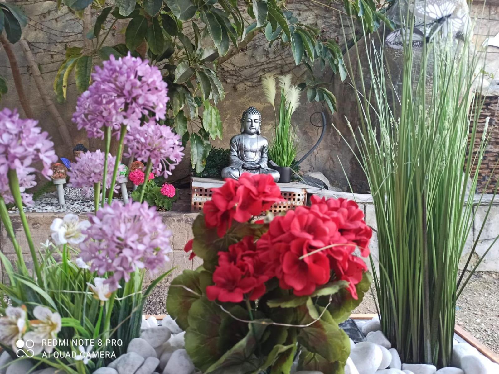 Los Jardines De Lola Daimés エクステリア 写真