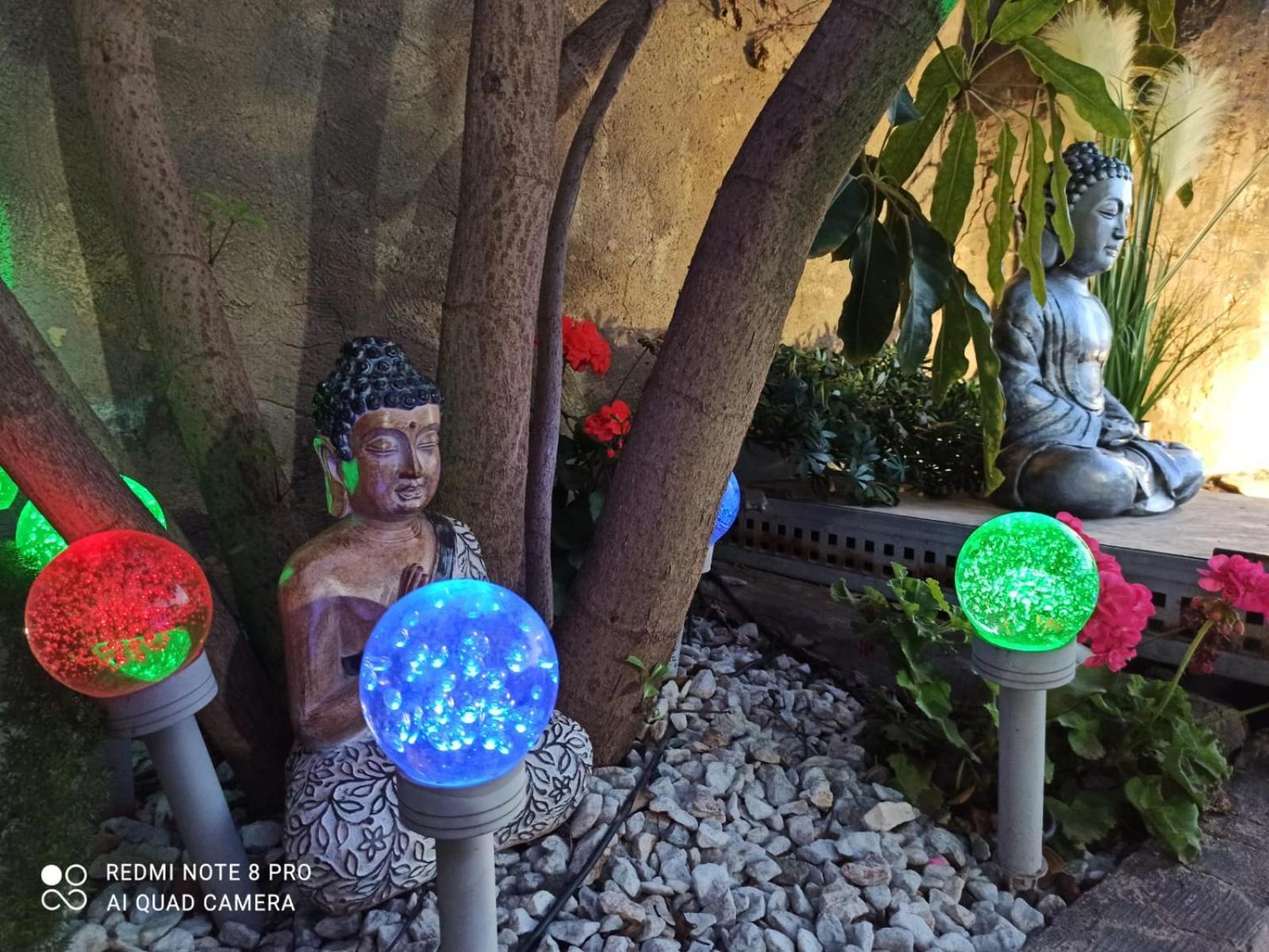 Los Jardines De Lola Daimés エクステリア 写真